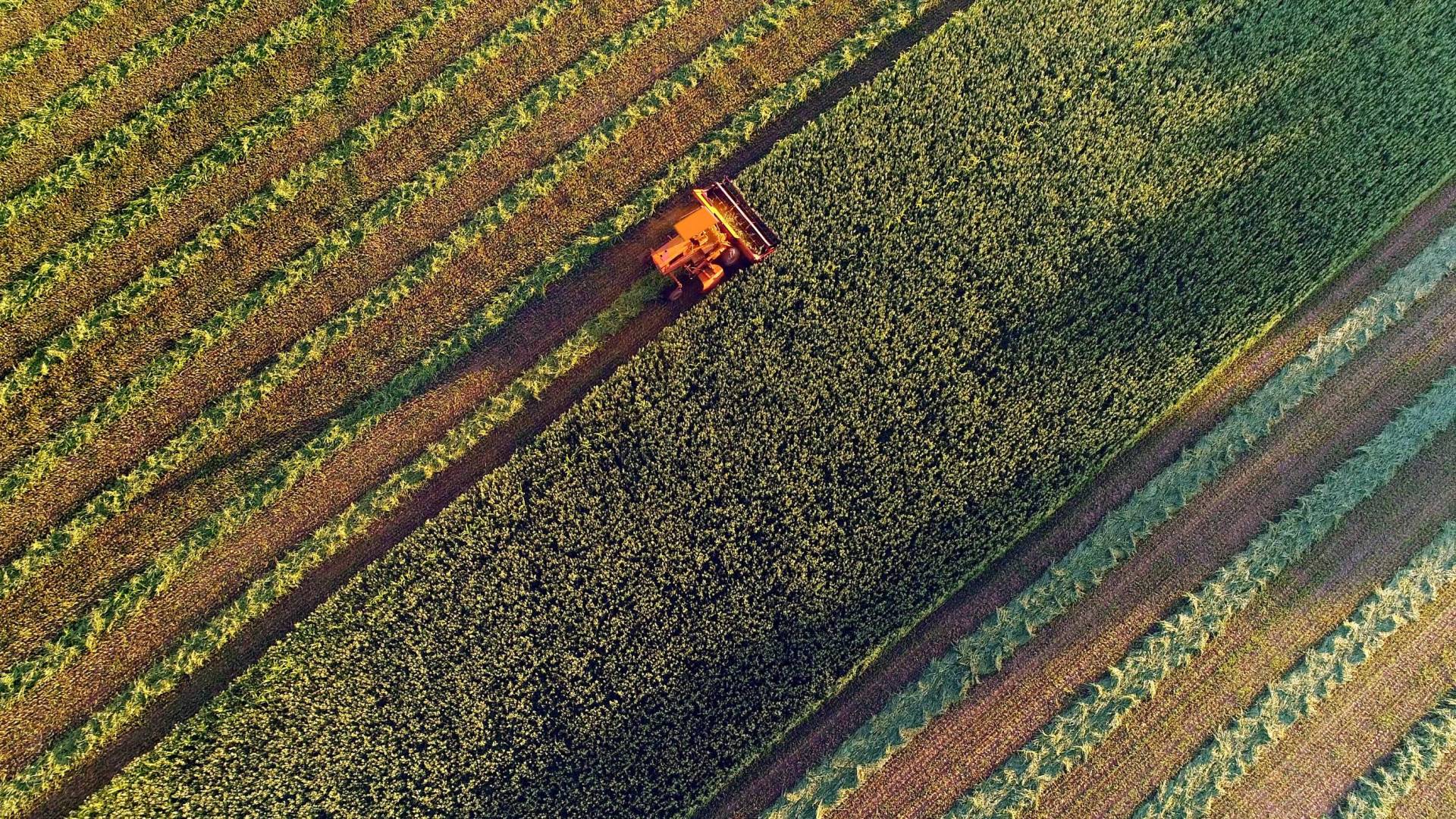Shielding a critical-infrastructure food supply chain from cyberthreats