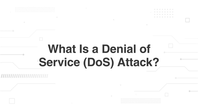 What Is a Denial of Service (DoS) Attack?