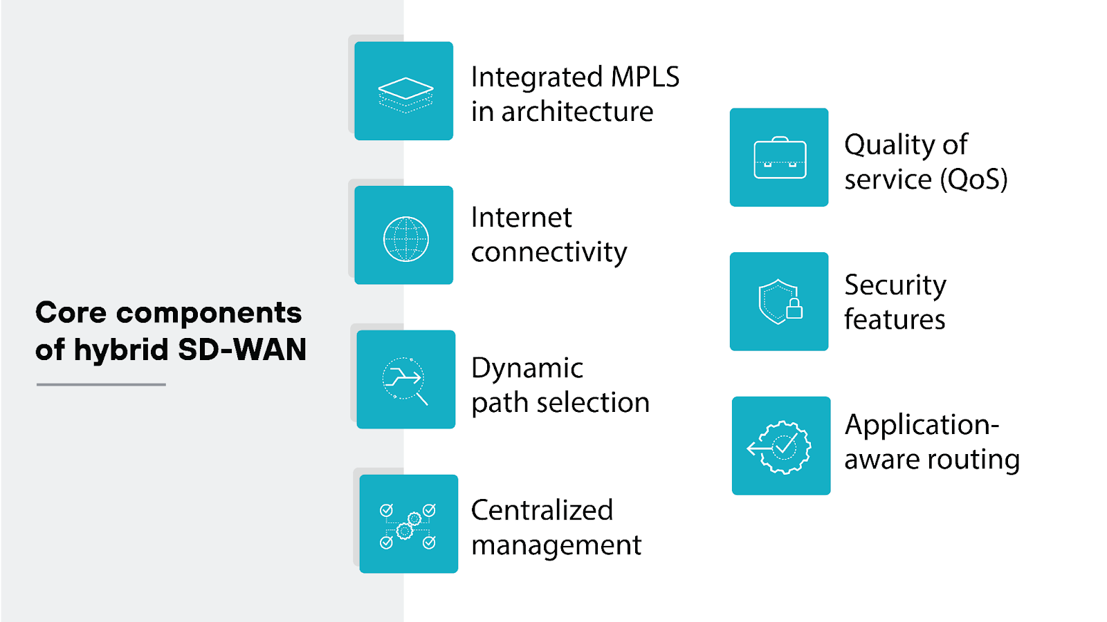 Core components of hybrid SD-WAN