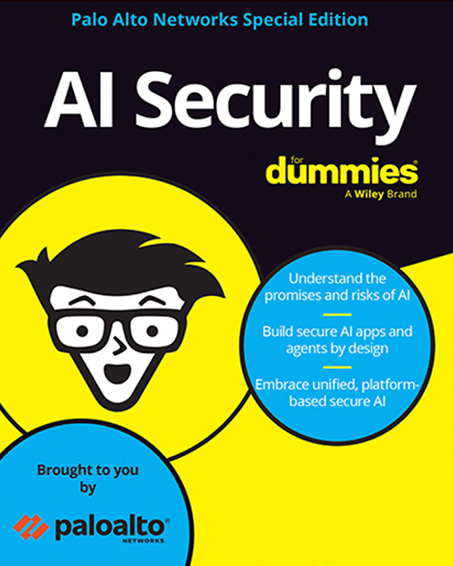 DUMMIES GUIDE
